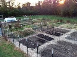 community gardens orchards