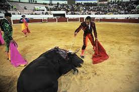 Futuro incierto para las corridas de toros ante la creciente apatía de los  colombianos | ElFaro.net