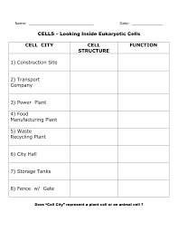 Cell City Chart