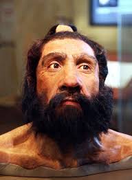 Neanderthal - World History Encyclopedia