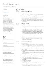 Digital Marketing Manager Resume Samples And Templates