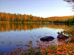 Image result for fall colors minnesota
