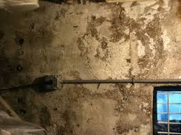 Vapor Barriers In Basements Cause Mold
