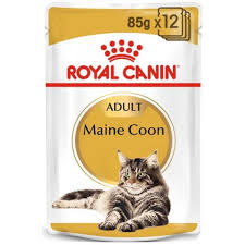royal canin cat pouch box maine