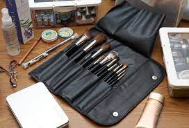 da vinci high cl makeup brushes