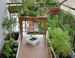Vertical Balcony Garden Ideas Balcony