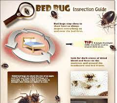 Signs That You May Have Bed Bugs