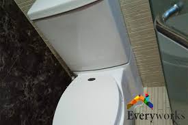 A New Toilet Bowl