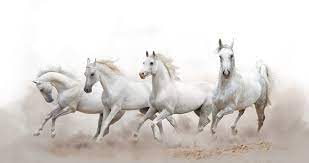 horses running images browse 189 979