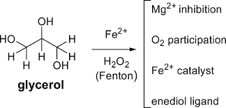 New Insights of the Fenton Reaction Using Glycerol as the Experimental  Model. Effect of O2, Inhibition by Mg2+, and Oxidation State of Fe | The  Journal of Physical Chemistry A