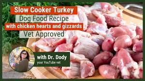 slow cooker dog food recipe turkey