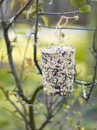 how to make suet cakes for the birds