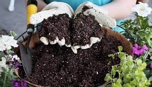 How To Sterilize Soil 8 Simple Methods