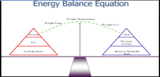 Chapter 6 Energy Balance Nutrition