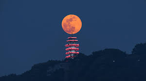 Strawberry moon, honey moon, rose moon. Aoqpnvzqhk5olm