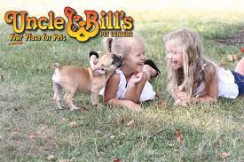 Uncle bill's was a chain of stores in the greater cleveland area. Uncle Bill S Pet Centers Home Facebook