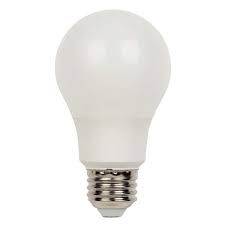 Soft White Omni A19 Led Light Bulb