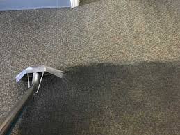 carpet cleaning munford tn