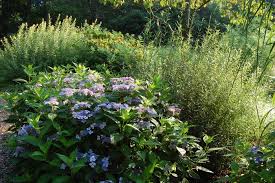 visit rutgers gardens in new jersey for