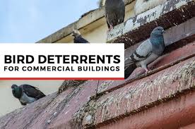 4 bird deters for commercial buildings