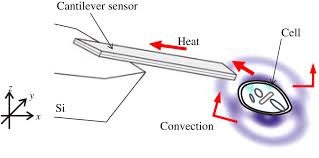 cantilever beam temperature sensors for