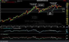 Xbi Biotech Sector Analysis Right Side Of The Chart