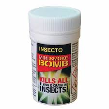 carpet beetles with insecto mini smoke