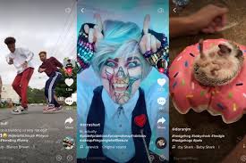 See more ideas about bones funny, make me laugh, funny. Tiktok S Videos Are Goofy Its Strategy To Dominate Social Media Is Serious Wsj