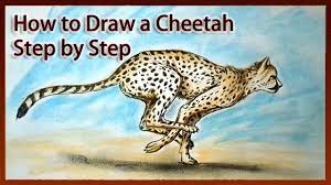 Begin drawing your cheetah by making a circle. How To Draw A Cheetah Step By Step Youtube