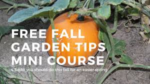 october planting guide 6 crops you