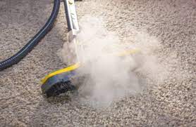 issaquah wa carpet steam cleaning