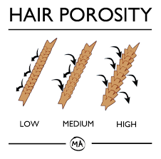 Find Out Your Hair Porosity Level Mane Addicts