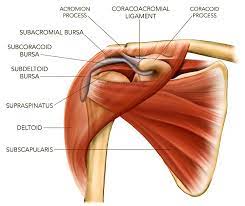 shoulder impingement causes symptoms