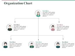 Organization Chart Ppt Professional Master Slide Template