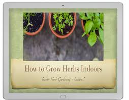 Easy Indoor Herb Gardening Home