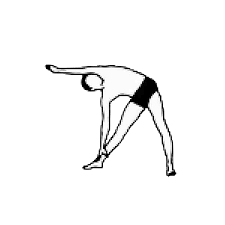 Asana is the sanskrit word for posture or seat. 12 Basic Asanas Sivananda London Classical Yoga