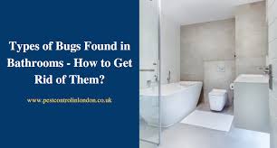 Types Of Bugs Found In Bathrooms How