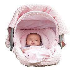 The Whole Caboodle Carseat Canopy Baby