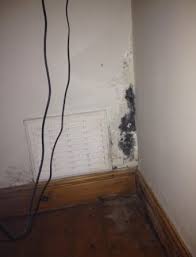 The epa explains that if you have a visible mold problem, in most cases sampling and testing is unnecessary. Apartment Mold Landlord And Tenant Responsibility