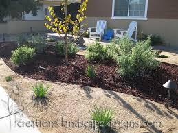 Drought Tolerant Landscape