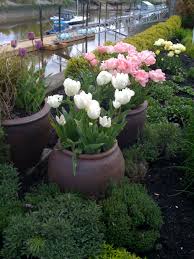 10 Beautiful Ways To Landscape With Bulbs