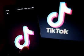 If brevity is the soul of wit, then tiktok is pretty. Tiktok Turns One The Top Hashtags And Happenings Of The Past 12 Months The Verge