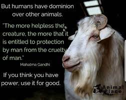 God gave us dominion tho : vegan