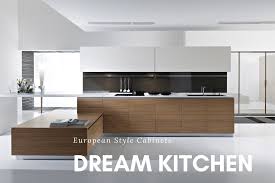 dream kitchen with european style cabinets