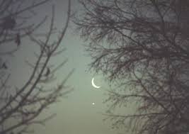 Image result for staring at crescent moon