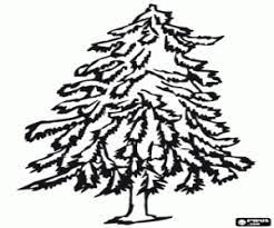 2) click on the coloring page image in the bottom half of the screen to make that frame active. Trees Coloring Pages Printable Games Tree Coloring Page Coloring Pages Tree