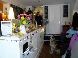 some customers oif our dog friendly