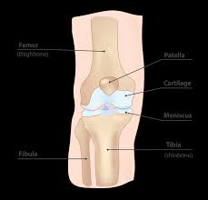 runner s knee causes symptoms and