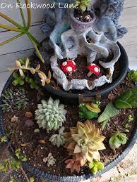 How To Make A Rock And Succulent Garden