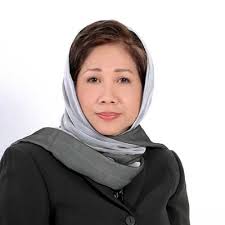 Mayıs 2014'te tan sri dr jemilah mahmood, new york'taki birleşmiş milletler i̇nsani i̇şler koordinasyon ofisi (unocha) genel merkezinde dünya i̇nsani yardım zirvesi sekreterliği başkanlığına atandı. Speakers 11th World Islamic Economic Forum